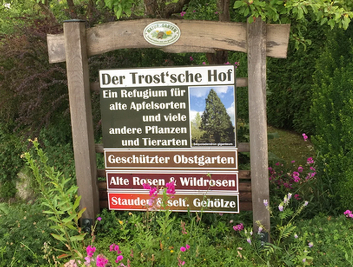 Der Trost`sche Hof